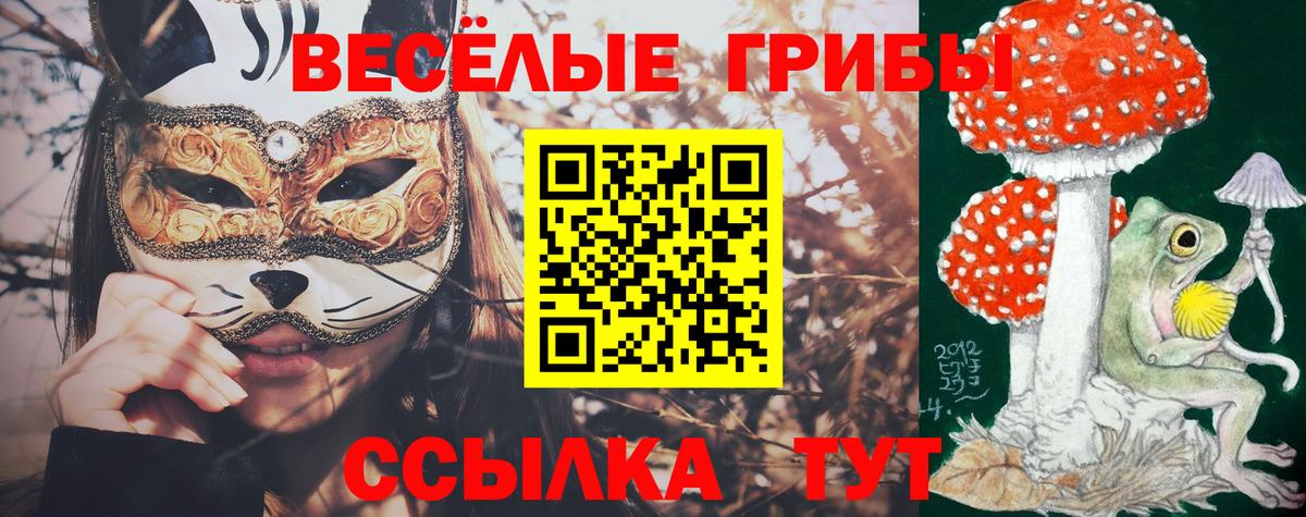 Видное  купить закладку  Вход с VPN  Псилоцибиновые грибы GOLDEN TEACHER  Галлюциногенные грибы Psilocybine cubensis 