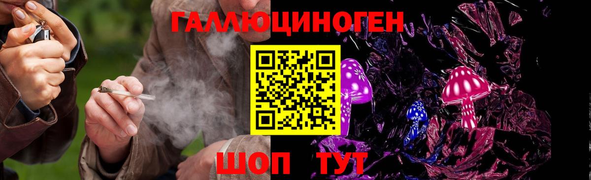 Псилоцибиновые грибы Magic Shrooms  Видное 