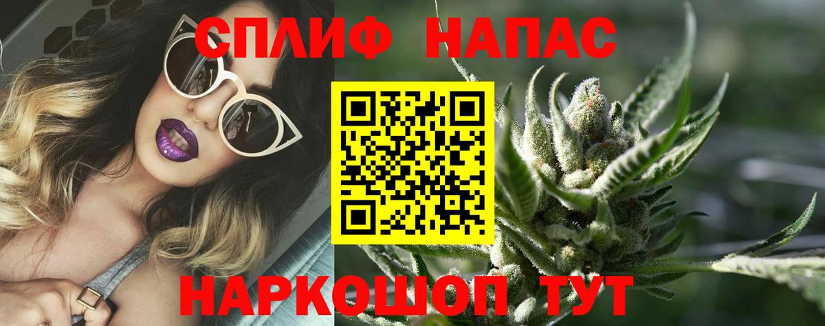 Марихуана сатива  Канабис ГИДРОПОН  Видное  Марихуана VHQ  Вход с VPN 